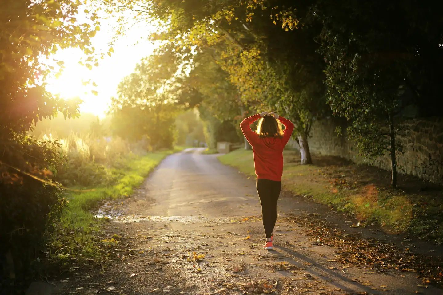 Woman walking on a forest path - golden sunlight through trees.